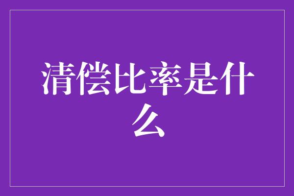 清偿比率是什么