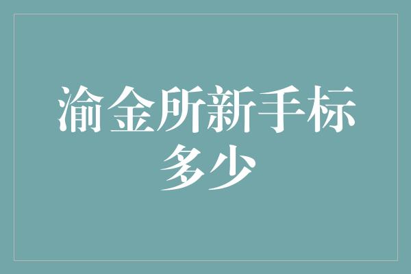 渝金所新手标多少