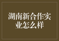 湖南新合作实业：在零售业与消费市场中的崛起与挑战