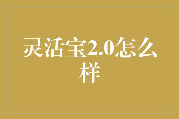 灵活宝2.0怎么样