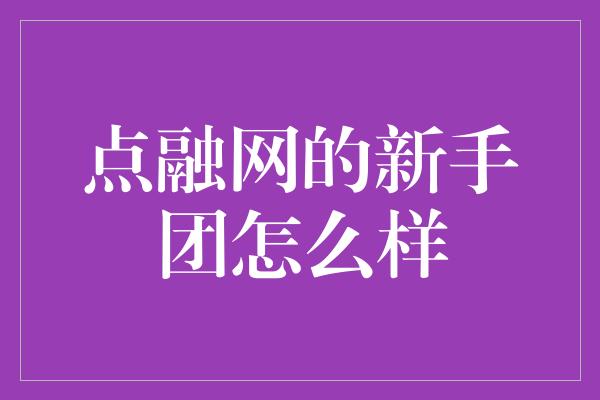 点融网的新手团怎么样