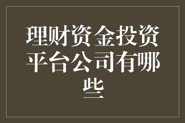 理财资金投资平台公司有哪些