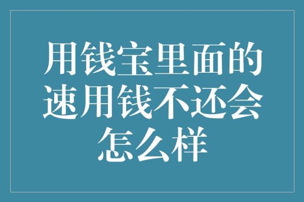 用钱宝里面的速用钱不还会怎么样