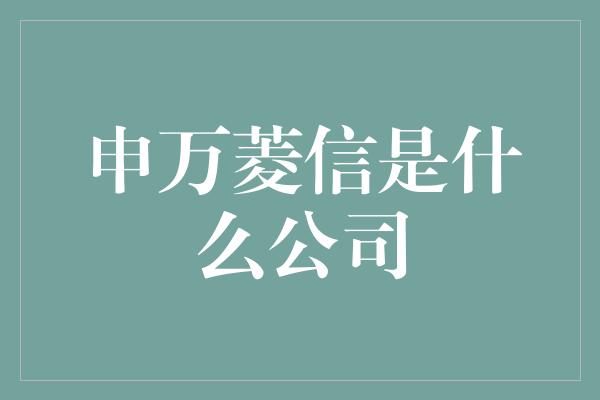 申万菱信是什么公司