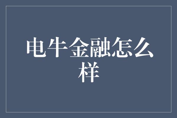 电牛金融怎么样