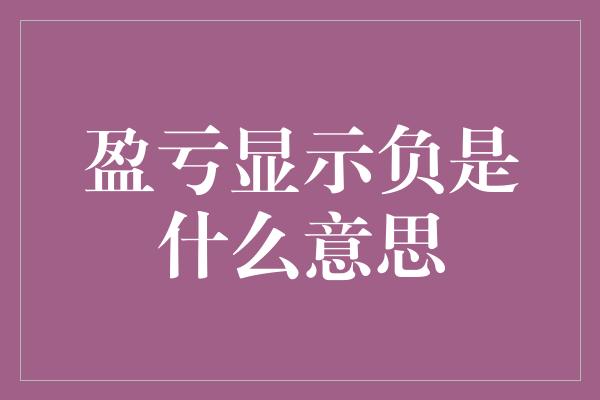 盈亏显示负是什么意思