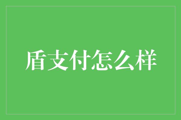 盾支付怎么样