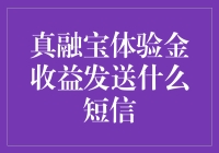 真融宝体验金：为何你的手机成了不速之客频繁访问的金库？