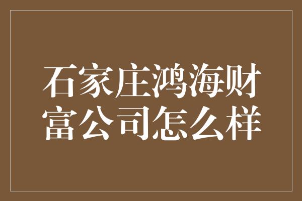 石家庄鸿海财富公司怎么样