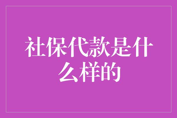 社保代款是什么样的