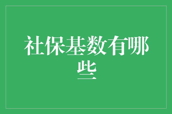 社保基数有哪些