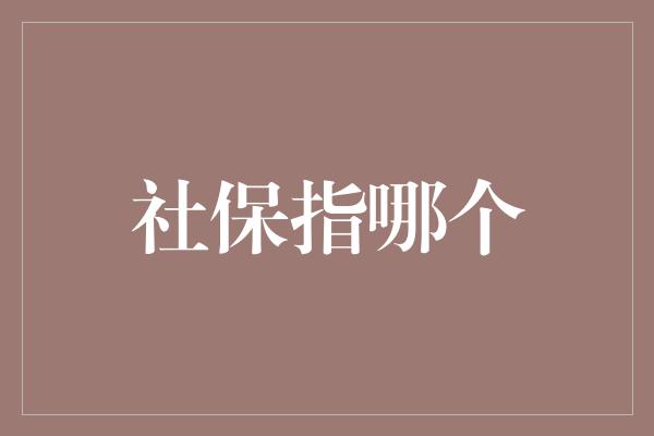 社保指哪个