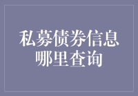 私募债券信息查询攻略：构建投资决策的坚实基础