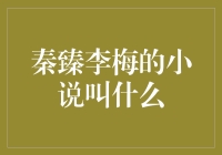 秦臻李梅的小说花开月圆：穿越时空的爱情传奇