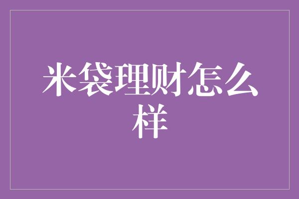 米袋理财怎么样