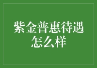 紫金普惠：一场关于普惠的奇幻冒险