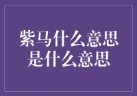 紫马：在这里，紫马不是指紫色的马，而是指什么？