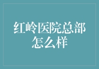 红岭医院总部：探秘其商业模式与市场影响力