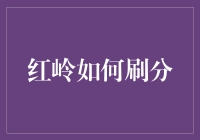 红岭如何提升成绩：策略与方法解析