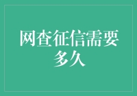 什么是网查征信？它真的那么快吗？