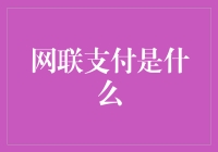 网联支付？那是我家猫的名字吗？