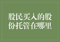 股市交易与股份托管：投资者权益保障机制探析