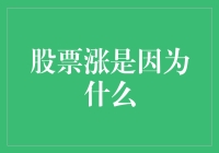 股票上涨背后的秘密：多维度解析