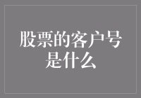 股票交易中的客户号解析：投资者身份认证的基石