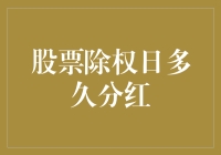 股票除权日：探索分红背后的微妙时间周期