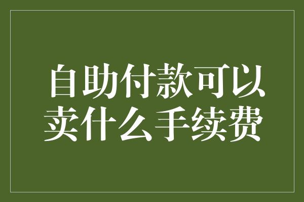 自助付款可以卖什么手续费