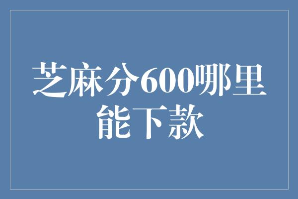 芝麻分600哪里能下款