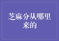 芝麻分：从海量数据中挖掘你的信用价值