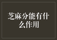 芝麻分：生活中的信誉通行证