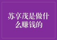 苏享茂：一位互联网科技企业家的财富传奇