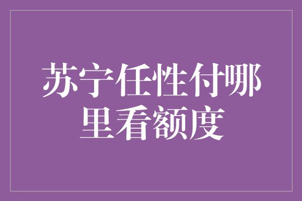 苏宁任性付哪里看额度