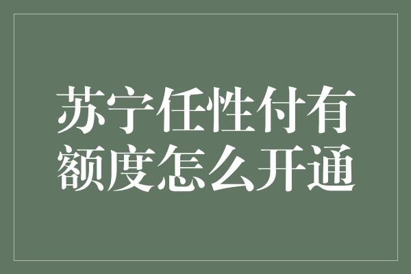 苏宁任性付有额度怎么开通