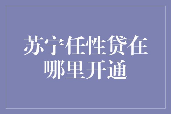 苏宁任性贷在哪里开通