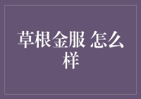 草根金服：从服务微小企业到普惠金融的创新之路