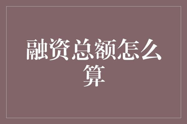 融资总额怎么算