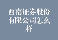 西南证券股份有限公司：炒股界的大内高手，带你领略股市的真功夫