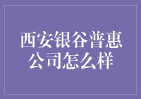 西安银谷普惠：科技发展的金融创新者