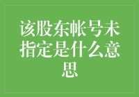 解读该股东账号未指定的含义：从注册失误到企业治理的深度探讨