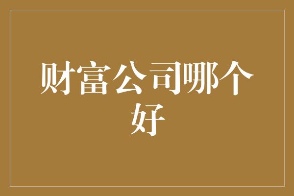 财富公司哪个好