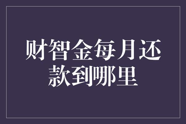 财智金每月还款到哪里