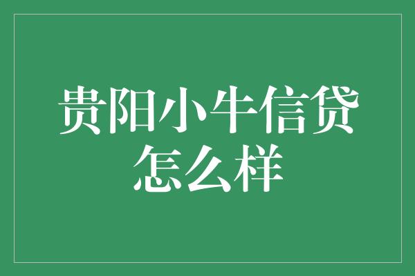 贵阳小牛信贷怎么样