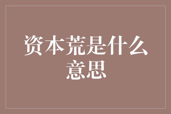 资本荒是什么意思