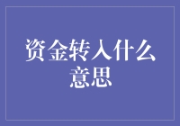 资金转入：金融领域的流动艺术