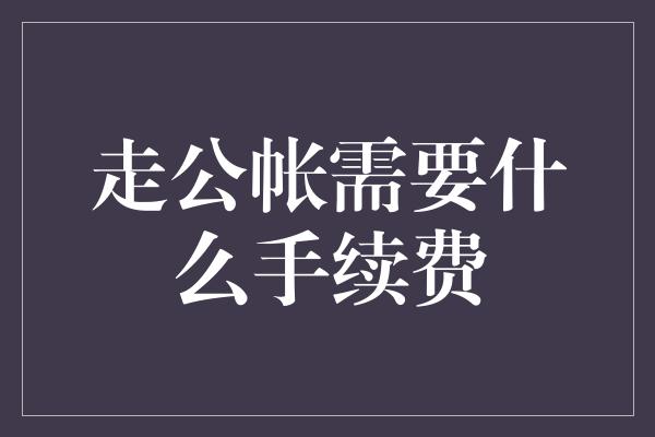 走公帐需要什么手续费