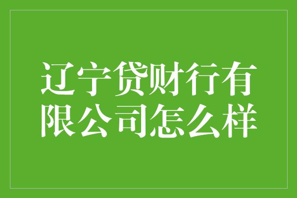 辽宁贷财行有限公司怎么样