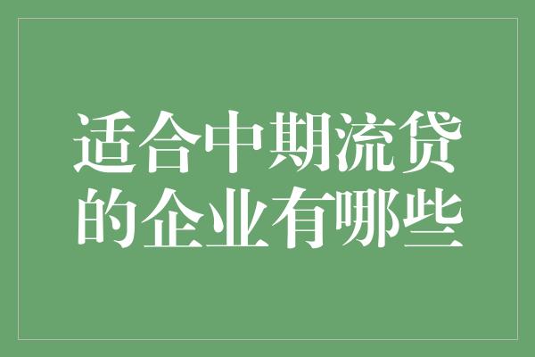 适合中期流贷的企业有哪些